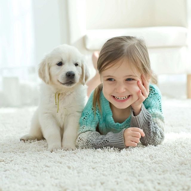 Puppy and young child on an Anything Goes Carpet