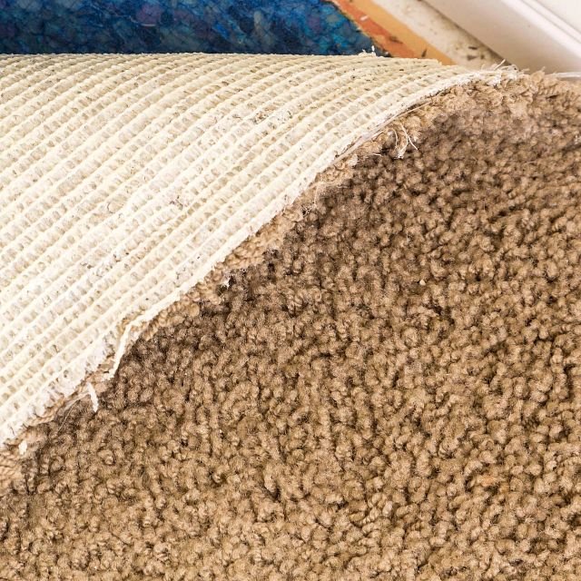 Carpet Backing Types on an Anything Goes Carpet